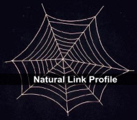 Natrual Link Profile - SEO Notebook