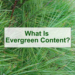 Evergreen Content - What is Evergreen Content