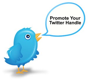 Twitter-Tips - Promote Your Twitter ID-300